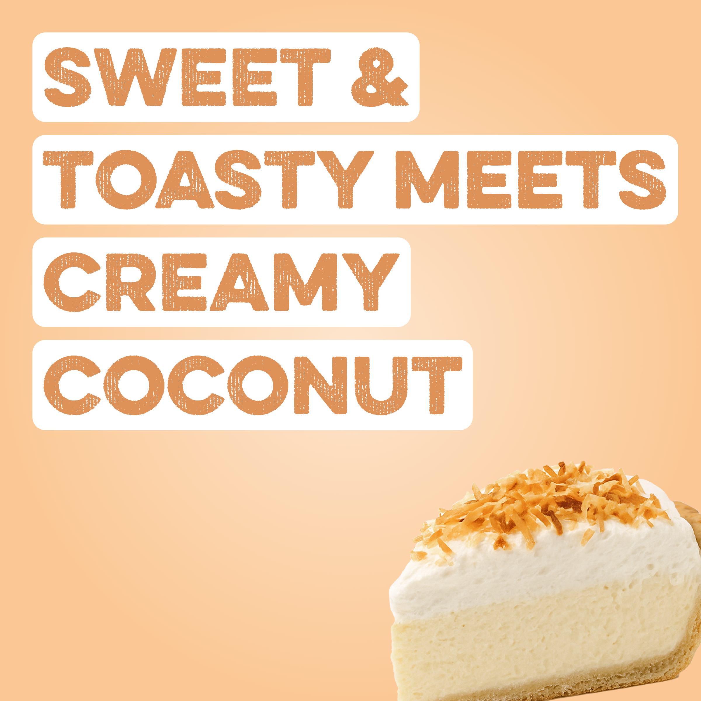 Protein Powder: Coconut Cream (10 Serving Bag)
