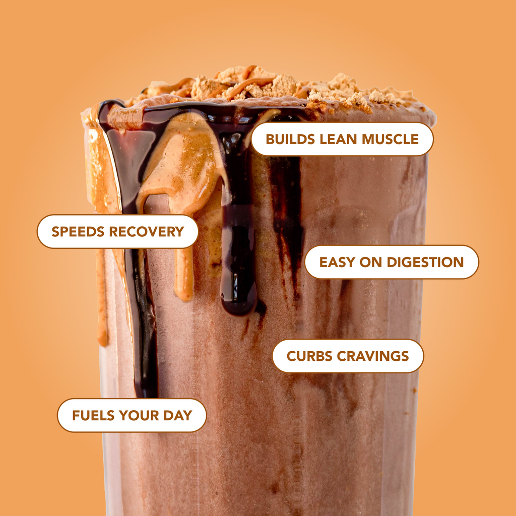 Protein Powder: Chocolate Peanut Butter (10 Single Serving Stick Packs)