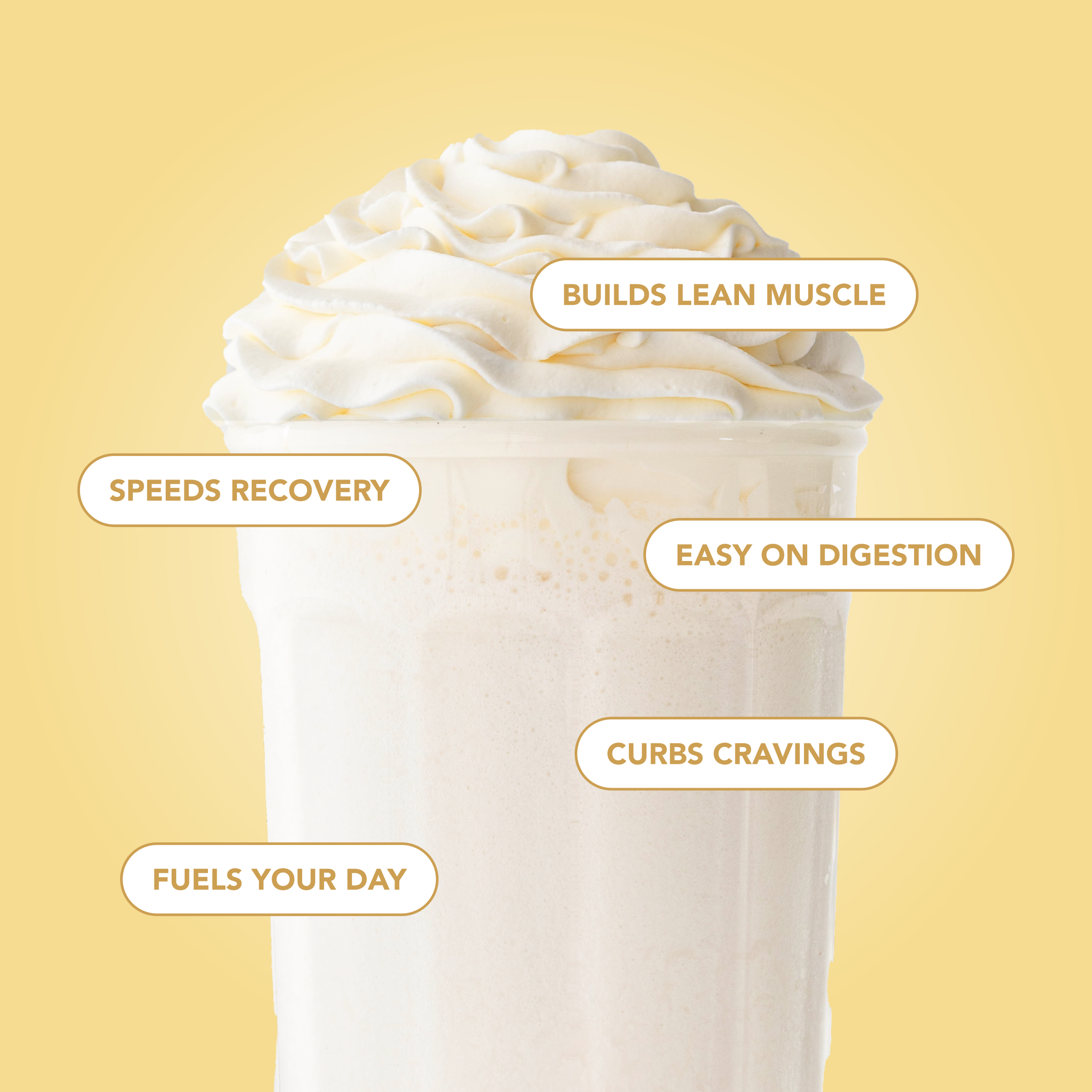 Protein Powder: Simply Vanilla (30 Serving Bag)