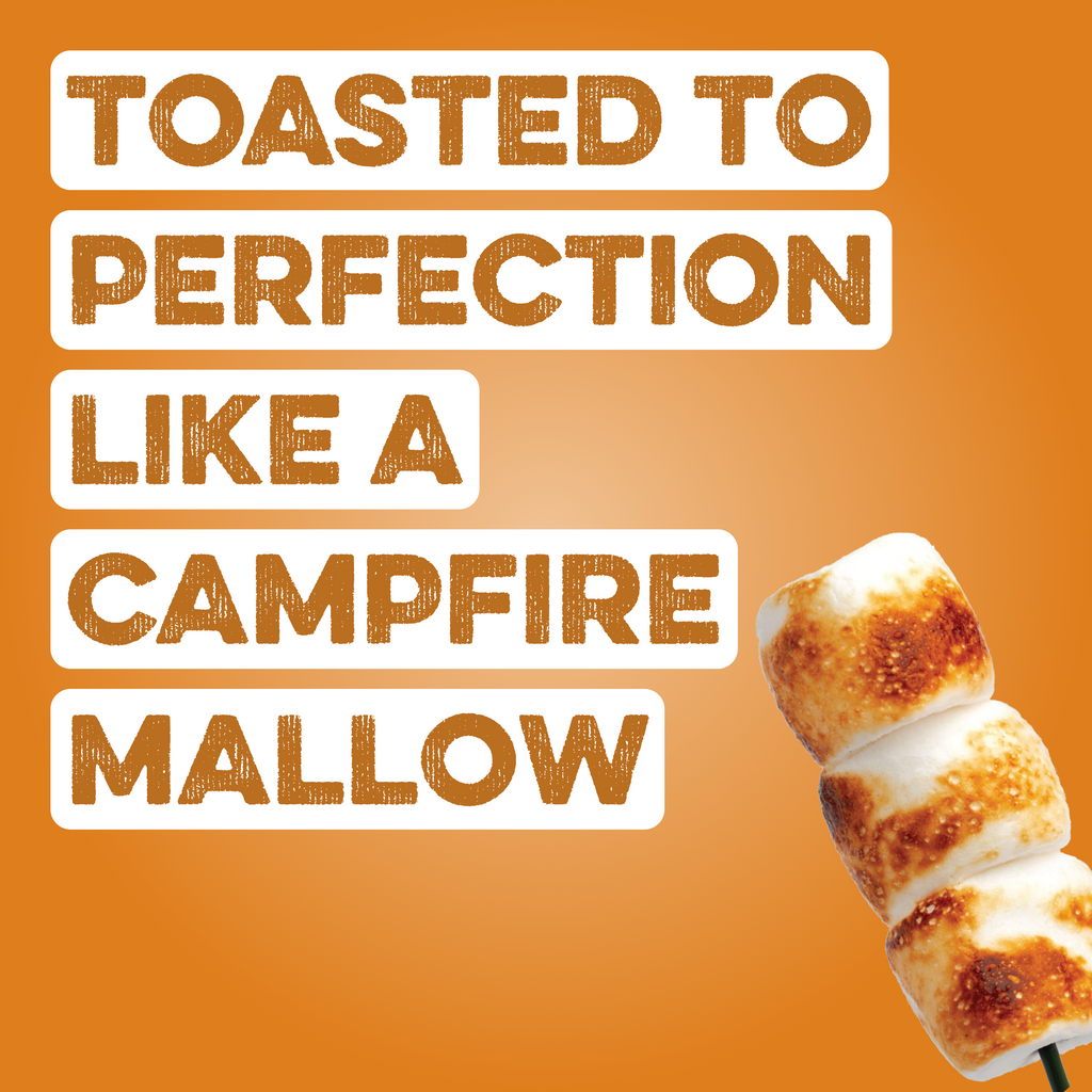 Protein Powder: Toasted Marshmallow (20 Serving Bag)